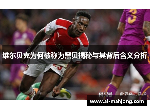 维尔贝克为何被称为黑贝揭秘与其背后含义分析