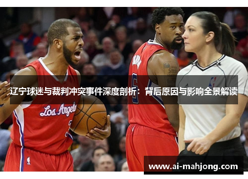 辽宁球迷与裁判冲突事件深度剖析：背后原因与影响全景解读
