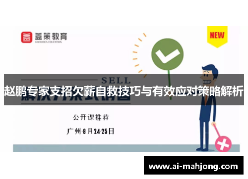 赵鹏专家支招欠薪自救技巧与有效应对策略解析